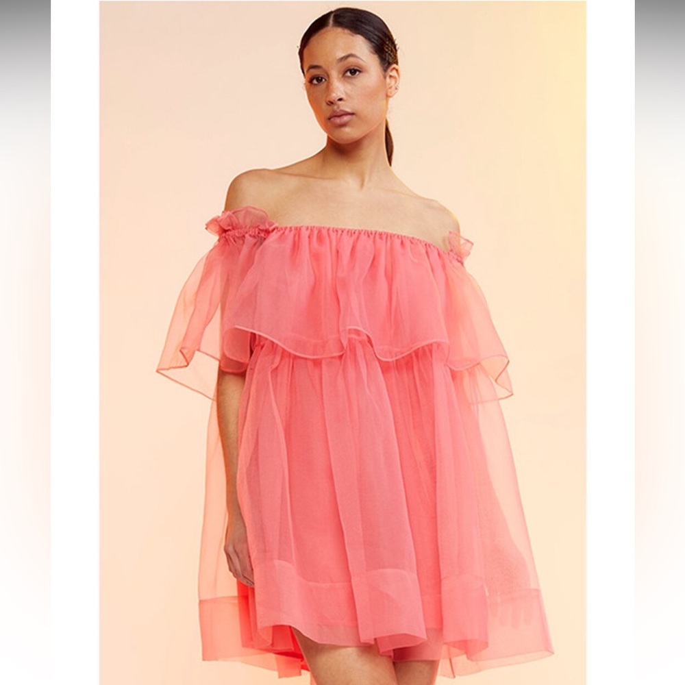 NWT CYNTHIA ROWLEY TULLE BABYDOLL DRESS🔥